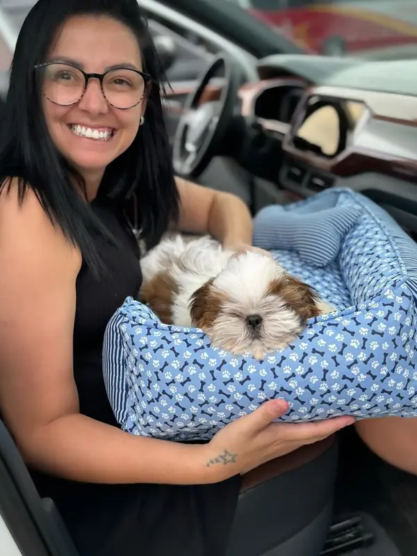 Linda from Tennessee in her car with Sam, a gold and white Shih Tzu puppy, asleep in a blue bed on her lap